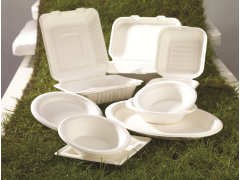FOOD PACKAGING & DISPOSABLES 
