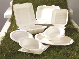FOOD PACKAGING & DISPOSABLES 