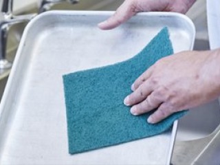 SPONGES and SCOURERS